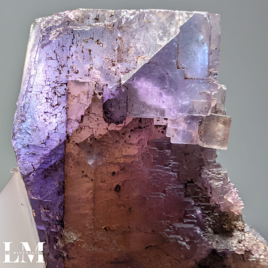 Minerva #1 Fluorite (Illinois, USA) - 1225-MIN1-1 — La Mineralien